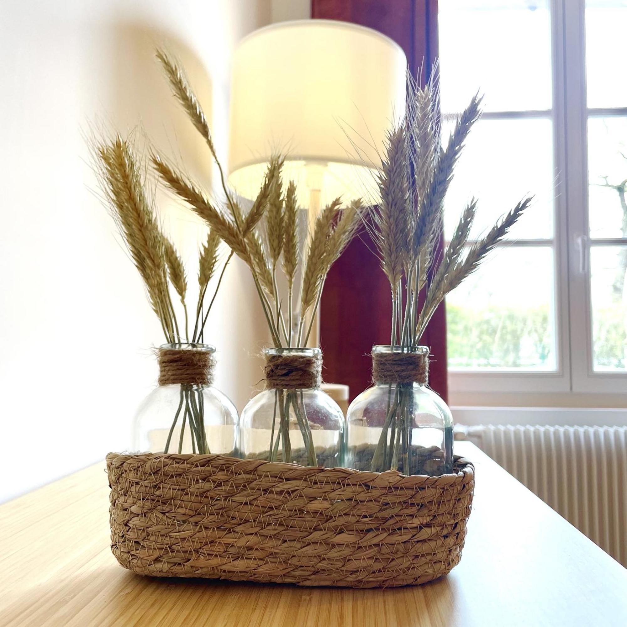 Apartment Jockey Stable By La Boite En